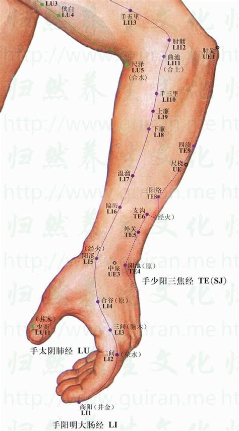 三金穴|三金穴在哪里